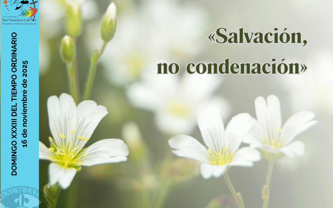 DOMINGO XXXIII DEL TIEMPO ORDINARIO – 16 de noviembre